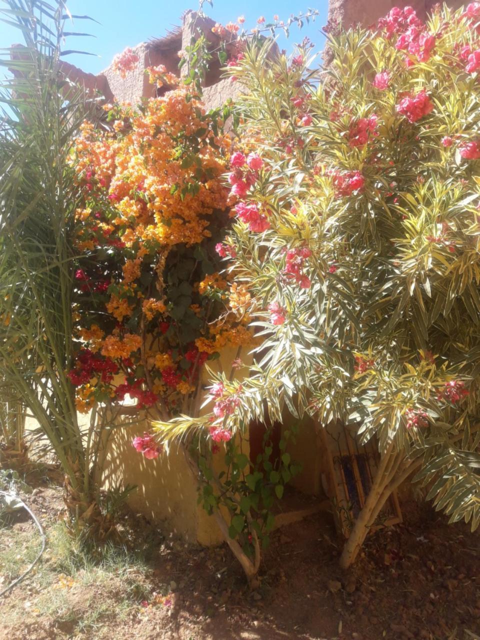 Hotel Kasbah Timidarte Zaouita Bou Lhassane Exterior foto